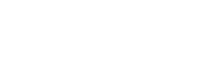 light logo