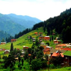 ayder-yaylasi